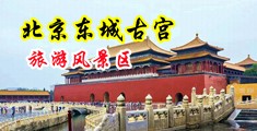 欲女尻屄中国北京-东城古宫旅游风景区